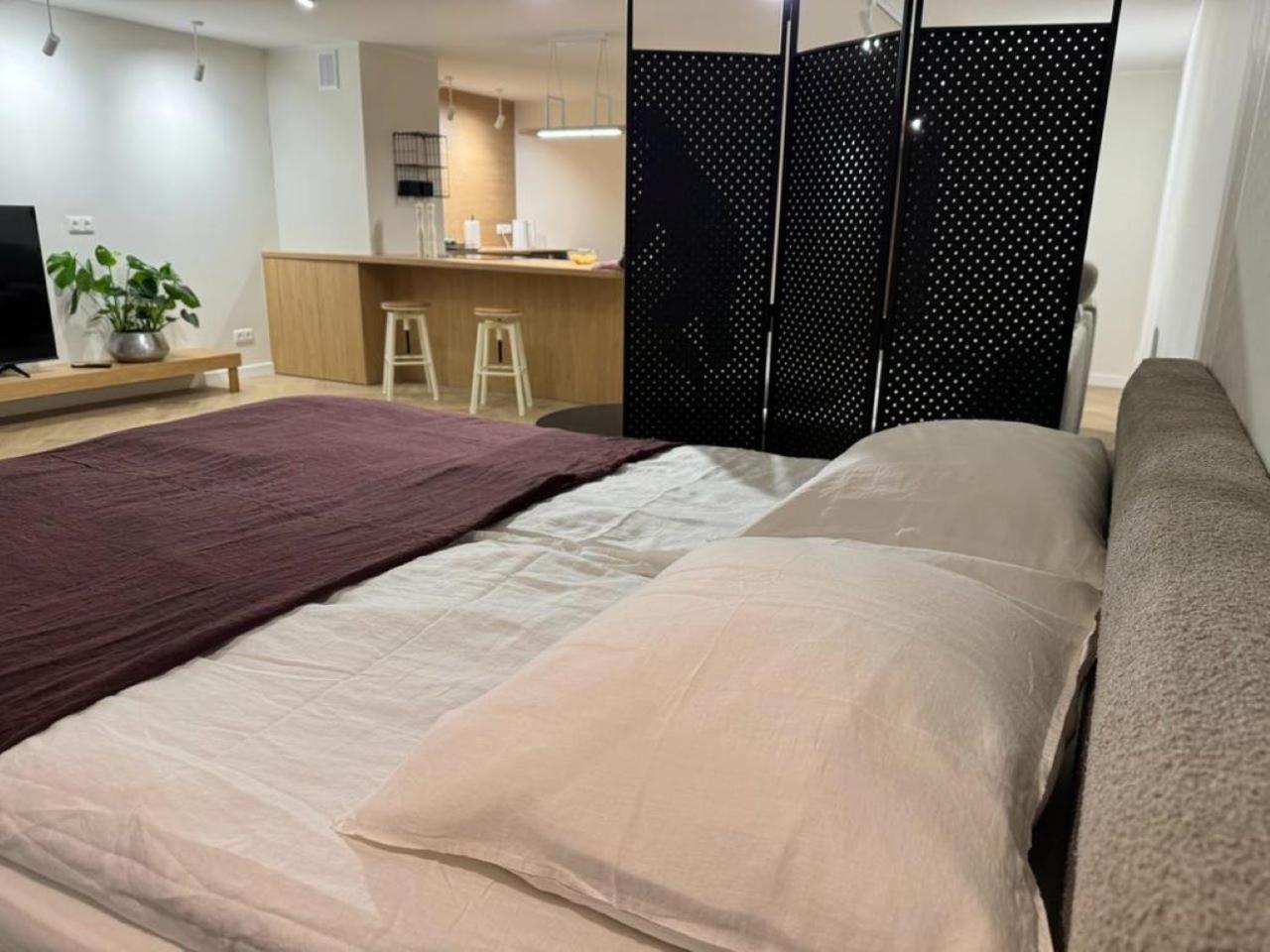 Apartament Ovoc 1.0 Chodzież المظهر الخارجي الصورة